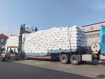 把握機(jī)遇、鉚足干勁、承勢(shì)而上