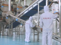 2025年的第一個(gè)月，承德亞歐果仁有限公司在山杏產(chǎn)業(yè)的道路上持續(xù)奮進(jìn)，展現(xiàn)出蓬勃的發(fā)展活力。